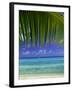 Palm Frond and Beach, Rangiroa Atoll, Tuamotu Archipelago, French Polynesia, South Pacific Islands-Sylvain Grandadam-Framed Photographic Print