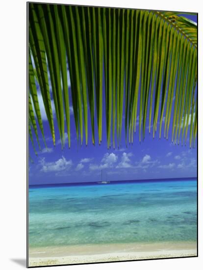 Palm Frond and Beach, Rangiroa Atoll, Tuamotu Archipelago, French Polynesia, South Pacific Islands-Sylvain Grandadam-Mounted Photographic Print