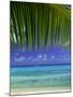 Palm Frond and Beach, Rangiroa Atoll, Tuamotu Archipelago, French Polynesia, South Pacific Islands-Sylvain Grandadam-Mounted Photographic Print