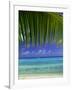 Palm Frond and Beach, Rangiroa Atoll, Tuamotu Archipelago, French Polynesia, South Pacific Islands-Sylvain Grandadam-Framed Photographic Print