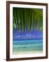 Palm Frond and Beach, Rangiroa Atoll, Tuamotu Archipelago, French Polynesia, South Pacific Islands-Sylvain Grandadam-Framed Photographic Print