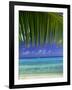 Palm Frond and Beach, Rangiroa Atoll, Tuamotu Archipelago, French Polynesia, South Pacific Islands-Sylvain Grandadam-Framed Photographic Print