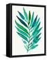 Palm Frond Flow I-Annie Warren-Framed Stretched Canvas