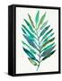 Palm Frond Flow IV-Annie Warren-Framed Stretched Canvas