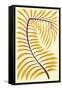 Palm Frond II-null-Framed Stretched Canvas