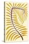 Palm Frond II-null-Stretched Canvas