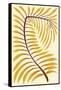 Palm Frond II-null-Framed Stretched Canvas