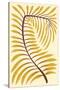 Palm Frond II-null-Stretched Canvas