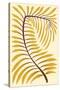 Palm Frond II-null-Stretched Canvas