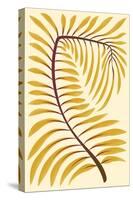 Palm Frond II-null-Stretched Canvas