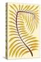 Palm Frond II-null-Stretched Canvas