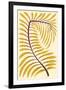 Palm Frond II-null-Framed Art Print