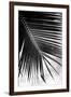 Palm Frond II-Debra Van Swearingen-Framed Art Print