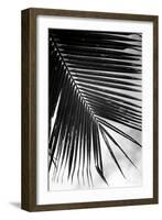 Palm Frond II-Debra Van Swearingen-Framed Art Print