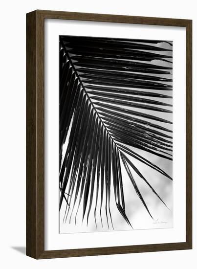 Palm Frond II-Debra Van Swearingen-Framed Art Print