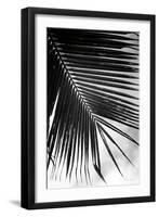 Palm Frond II-Debra Van Swearingen-Framed Art Print