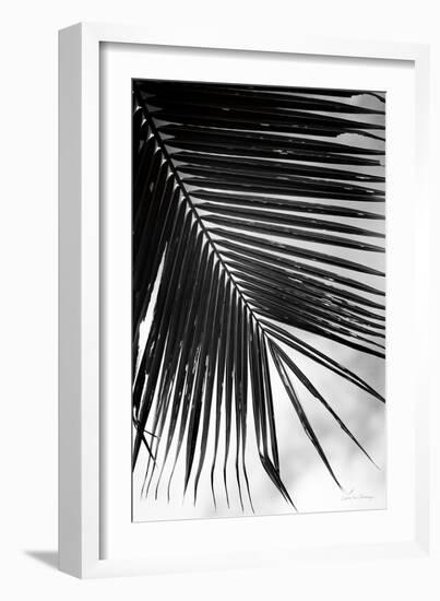 Palm Frond II-Debra Van Swearingen-Framed Art Print