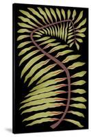 Palm Frond III-null-Stretched Canvas