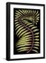 Palm Frond III-null-Framed Art Print