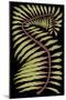 Palm Frond III-null-Mounted Art Print