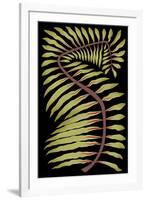 Palm Frond III-null-Framed Art Print