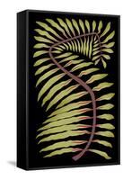 Palm Frond III-null-Framed Stretched Canvas