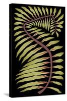 Palm Frond III-null-Stretched Canvas