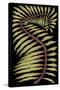 Palm Frond III-null-Stretched Canvas