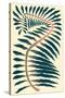 Palm Frond IV-null-Stretched Canvas