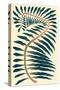 Palm Frond IV-null-Stretched Canvas