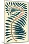 Palm Frond IV-null-Mounted Art Print