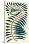 Palm Frond IV-null-Stretched Canvas