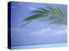 Palm Frond Over Tropical Water-Michele Westmorland-Stretched Canvas