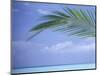 Palm Frond Over Tropical Water-Michele Westmorland-Mounted Photographic Print