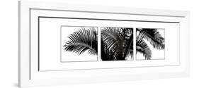 Palm Frond Triptych III-Bill Philip-Framed Art Print