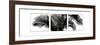 Palm Frond Triptych III-Bill Philip-Framed Art Print