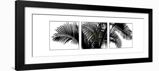 Palm Frond Triptych III-Bill Philip-Framed Art Print