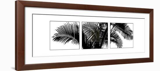 Palm Frond Triptych III-Bill Philip-Framed Art Print