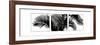 Palm Frond Triptych III-Bill Philip-Framed Art Print