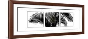 Palm Frond Triptych III-Bill Philip-Framed Art Print