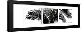 Palm Frond Triptych III-Bill Philip-Framed Art Print