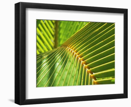 Palm Frond-Karen Ussery-Framed Giclee Print