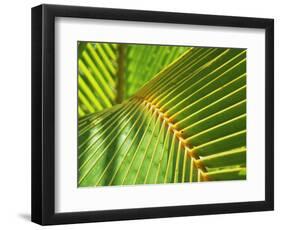 Palm Frond-Karen Ussery-Framed Giclee Print