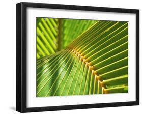 Palm Frond-Karen Ussery-Framed Giclee Print