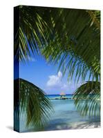 Palm Fronds and Beach, Rangiroa Atoll, Tuamotu Archipelago, French Polynesia, South Pacific Islands-Sylvain Grandadam-Stretched Canvas