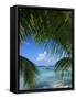 Palm Fronds and Beach, Rangiroa Atoll, Tuamotu Archipelago, French Polynesia, South Pacific Islands-Sylvain Grandadam-Framed Stretched Canvas