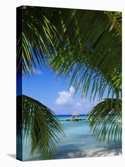 Palm Fronds and Beach, Rangiroa Atoll, Tuamotu Archipelago, French Polynesia, South Pacific Islands-Sylvain Grandadam-Stretched Canvas