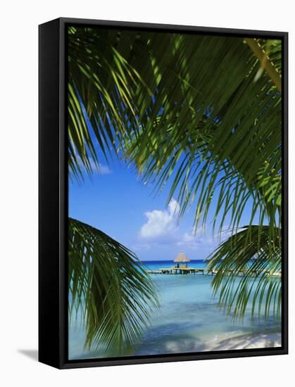 Palm Fronds and Beach, Rangiroa Atoll, Tuamotu Archipelago, French Polynesia, South Pacific Islands-Sylvain Grandadam-Framed Stretched Canvas