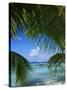 Palm Fronds and Beach, Rangiroa Atoll, Tuamotu Archipelago, French Polynesia, South Pacific Islands-Sylvain Grandadam-Stretched Canvas