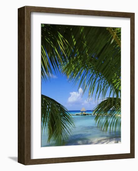 Palm Fronds and Beach, Rangiroa Atoll, Tuamotu Archipelago, French Polynesia, South Pacific Islands-Sylvain Grandadam-Framed Photographic Print